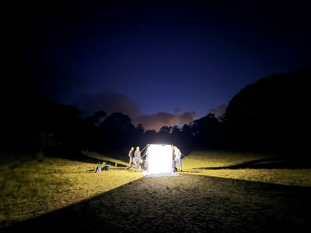 Kort verslag Nationale Nachtvlinder Nacht 17 juli 2026 in Amsterdamse Waterleidingduinen
